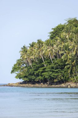 Koh Kood Trang, Tropikal Koh Kood veya Koh Kut Tayland.