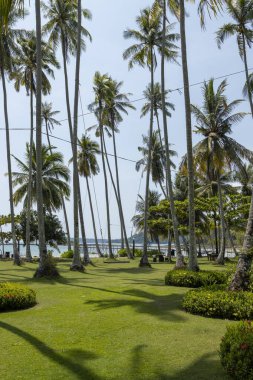Koh Kood Trang, Tropikal Koh Kood veya Koh Kut Tayland.