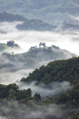 Dağ Katmanıyla Sabah Buğusu manzarası. Kırsal orman ormanlarında dağ sırtı ve bulutlar