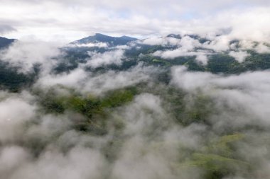 Dağ Katmanıyla Sabah Buğusu manzarası. Kırsal orman ormanlarında dağ sırtı ve bulutlar