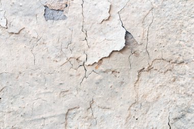 Açık Gri Stucco Duvar dokusu. Soyut Arkaplan