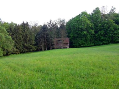 Kır evi ahşap ve eski, ormanın kenarında duruyor, kısmen ağaçlarla örtüşüyor, görüntü