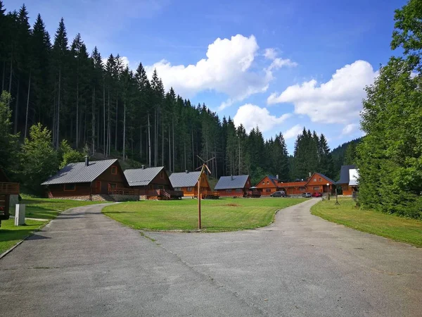 森林附近的小木屋 被树木环绕 在夏天 — 图库照片
