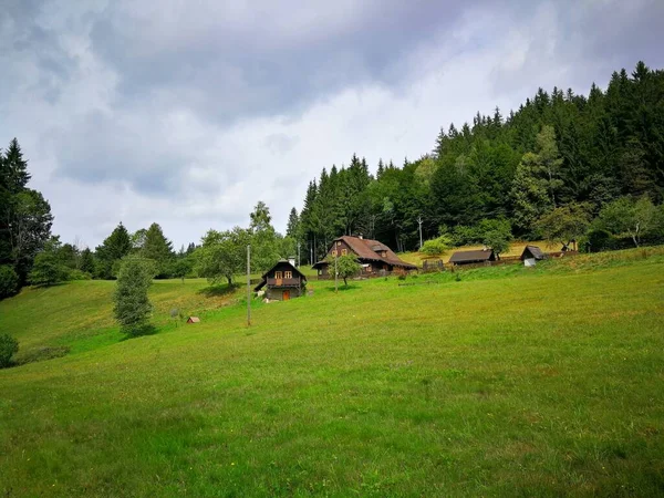 Chaty Svahu Lesa Obklopený Stromy Létě Obraz — Stock fotografie