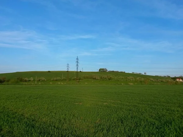 Veld Landbouw Die Verte Doorloopt Een Heuvel Waarop Bomen Elektrische — Stockfoto