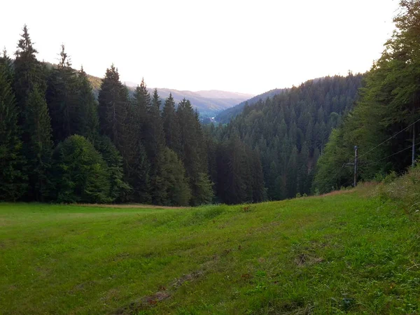 スキーリフトと森林の背景 画像と丘の中腹に山の牧草地 — ストック写真