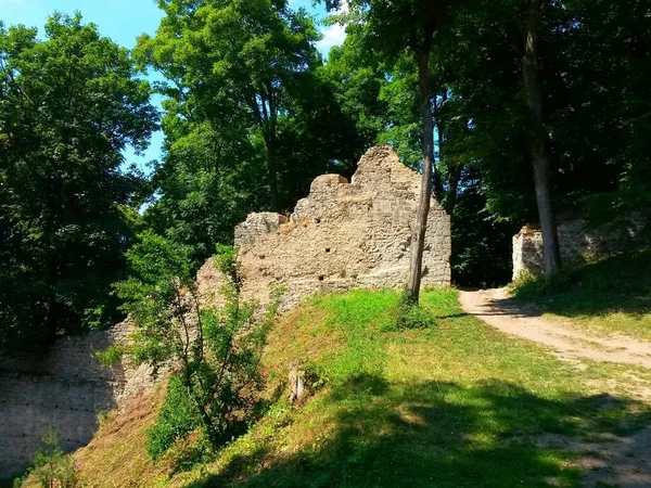 Vieux Mur Pierre Château Sur Une Pente Dans Forêt Image — Photo