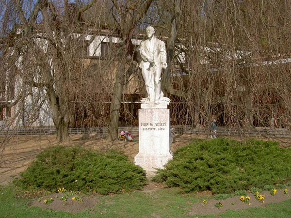 Estatua Bajo Árbol Mudr Frantisek Vesely Médico Constructor Del Spa —  Fotos de Stock