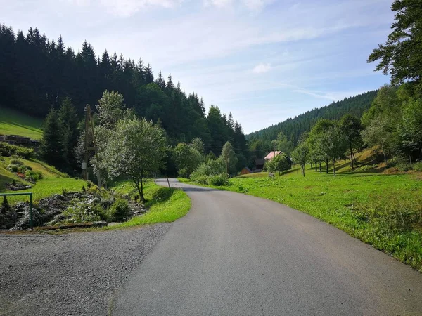 森へのアスファルトの道路は ストリーム 木や牧草地 画像によって並んでいます — ストック写真