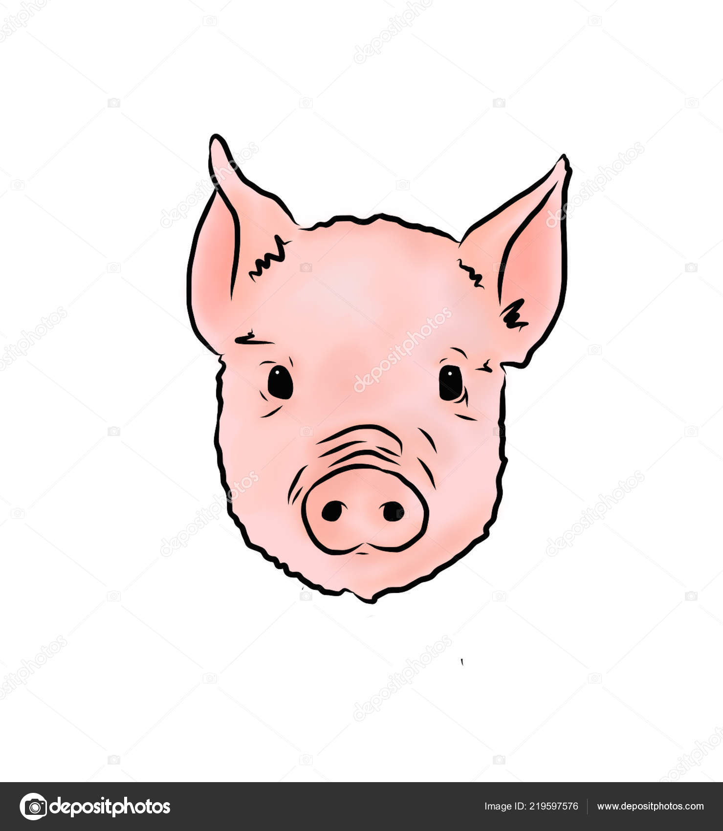 Cute Pig Face Illustration Vector Image By Dollygrey Vector Stock 219597576