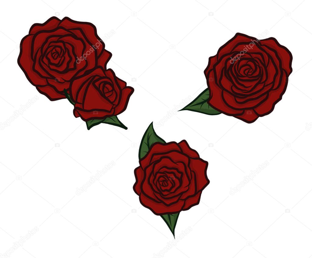Red Roses Set  Illustration