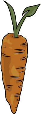 Vegan izole havuç illüstrasyon