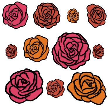 Gül izole çiçek kümesi