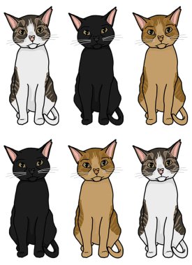Sevimli kedi illüstrasyon model
