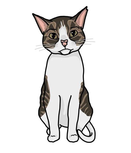可爱的猫插图卡通 — 图库照片