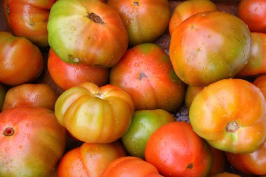 Lezzetli kırmızı ve yeşil domates farklı boyutlarda ve rasgele düzenlenmiş, tüm organik, sağlıklı ve taze, Ortigueira piyasada, Kuzey İspanya ' nın güneybatısında bulunan Galiçya küçük bir kasabada çekildi.