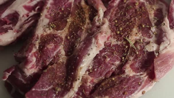 Saveurs de chef viande fraîche avec romarin, coriandre et épices . — Video