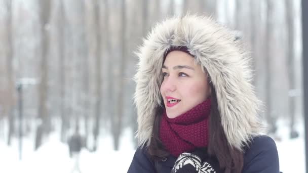 Όμορφη νεαρή κοπέλα σε μια ρομαντική διάθεση, περιμένει το φίλο της σε ένα χειμερινό πάρκο. — Αρχείο Βίντεο