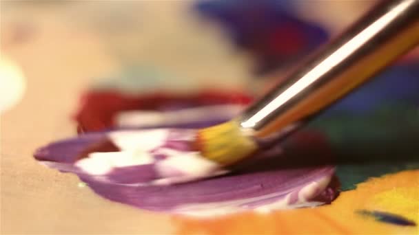 Художник занурює пензлик у фарбу і змішує її на палітрі . — стокове відео