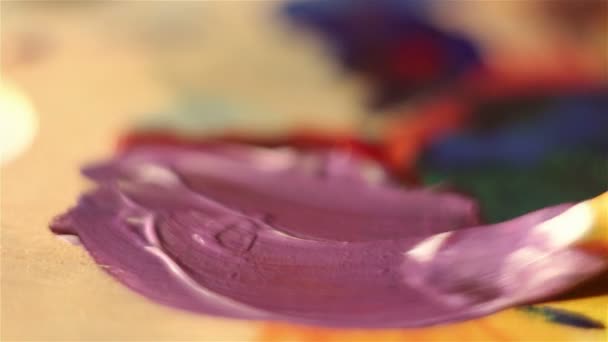 Artista sumerge su pincel en pintura y lo mezcla en la paleta . — Vídeos de Stock