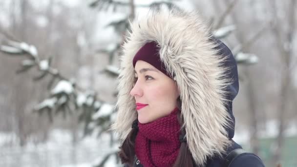 Vacker ung flicka i en romantisk stämning, njuta av naturen, promenader i en winter park. — Stockvideo