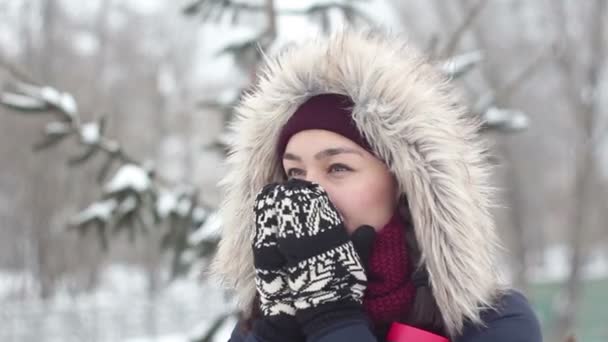 Güzel genç kız romantik bir ruh hali içinde bir kış parkta yürürken ısınma ellerini losyonları. — Stok video