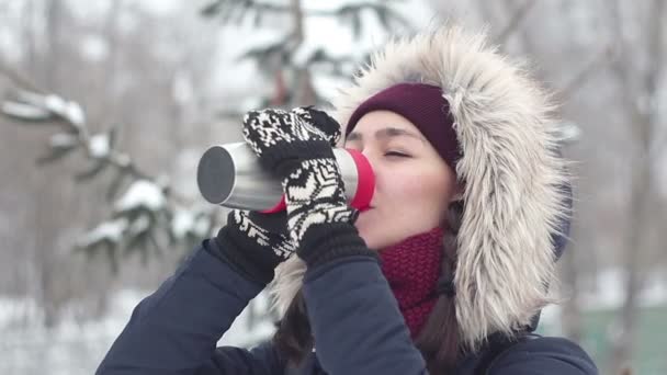 美丽的年轻女孩喜欢在冬季公园散步时喝热水瓶里的咖啡 — 图库视频影像
