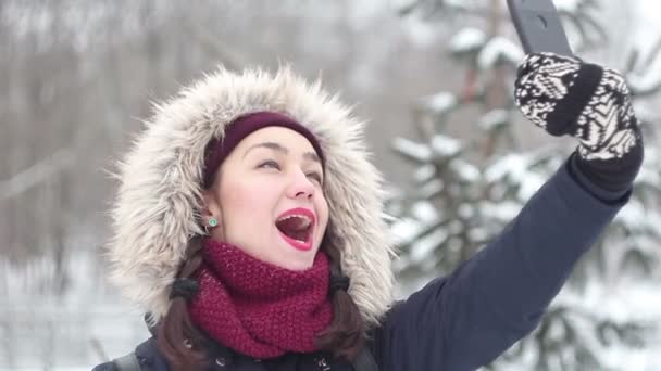 Young beautiful girl makes selfie on her smartphone while walking in a winter park. — Stock Video