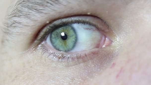 Opening and blinking eyes Gray-green color of a young handsome guy close-up. — Stock Video