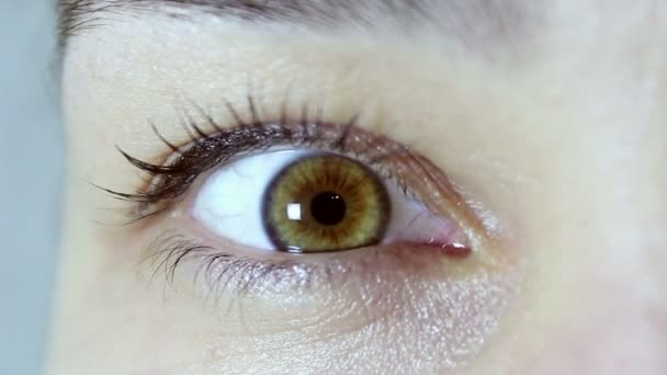 Brun-grönt öga av en ung vacker flicka. Flickan tittar in i kameran och blinkar hennes ögon. — Stockvideo