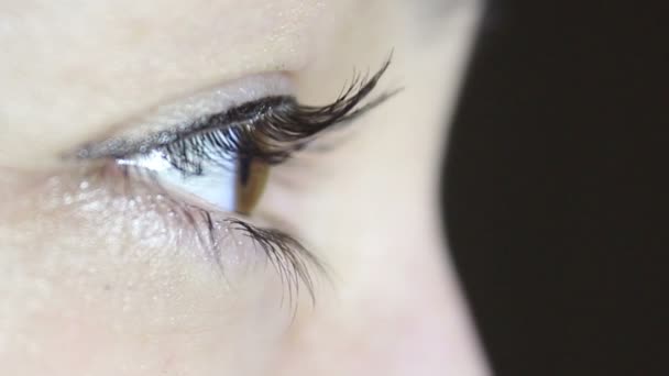 Braun-grünes Auge eines jungen schönen Mädchens. das Mädchen blickt in die Kamera und blinzelt mit den Augen. — Stockvideo