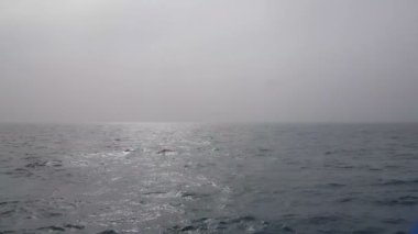 Bulutlu havalarda okyanus manzarası. Okyanus dalgalarının üzerindeki güneş sisi kırAr. Puslu okyanus manzarası. Sisteki okyanus dalgaları.