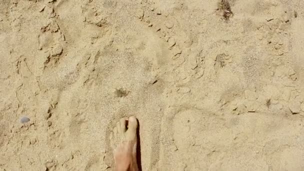 Mannelijke voeten lopen langs het zandstrand. Een man geniet van ontspannen op het zandstrand. Een man loopt op het zand door de zee. — Stockvideo