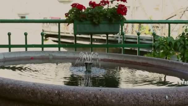 Malá fontánka ve stínu stromů.Fontána s průzračnou vodou v parku. — Stock video