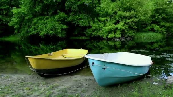 Човни на річці. Вид на ліс і берег річки з причаленими човнами . — стокове відео