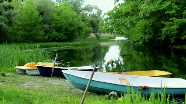 Човни на річці. Вид на ліс і берег річки з причаленими човнами . — стокове відео