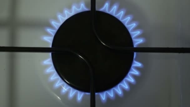 A burning gas burner. The kitchen gas burner burns in blue. A gas burner burns in the kitchen. — Stock Video