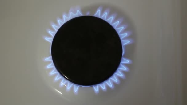 燃烧的气体燃烧器。厨房的煤气炉是蓝色的.厨房里有一个煤气炉在燃烧. — 图库视频影像