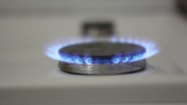 A burning gas burner. The kitchen gas burner burns in blue. A gas burner burns in the kitchen. — Stock Video