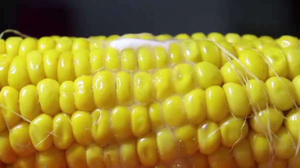 Egy darab vaj megolvad és lefolyik a szaftos forró kukorica felett. Lédús forró kukorica közelkép. — Stock videók