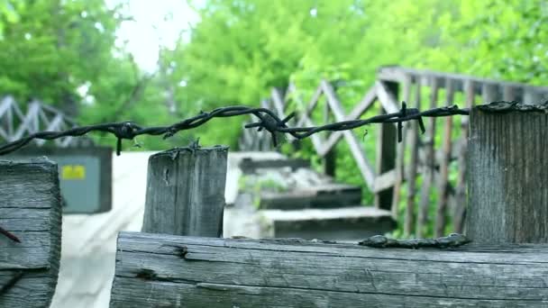 Rusty barbed wire. Forest behind barbed wire. — Stock Video