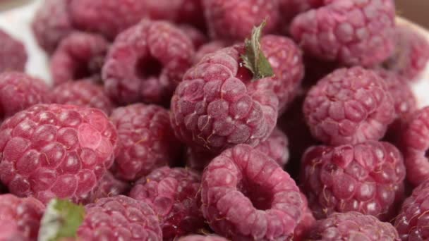 Les framboises juteuses mûres reposent sur une assiette. Gros plan sur les framboises biologiques mûres. — Video