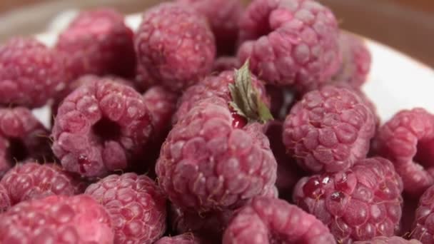 Les framboises juteuses mûres reposent sur une assiette. Gros plan sur les framboises biologiques mûres. — Video