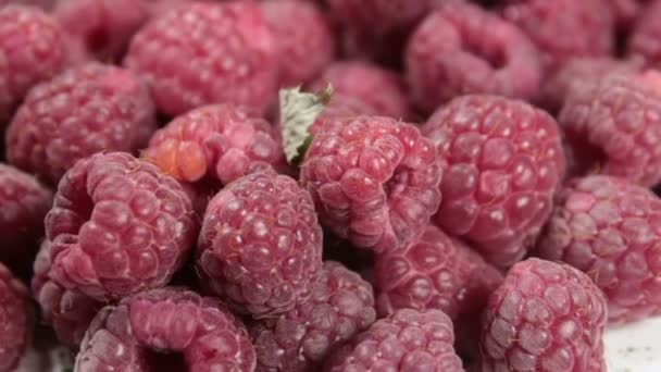 Les framboises juteuses mûres reposent sur une assiette. Gros plan sur les framboises biologiques mûres. — Video