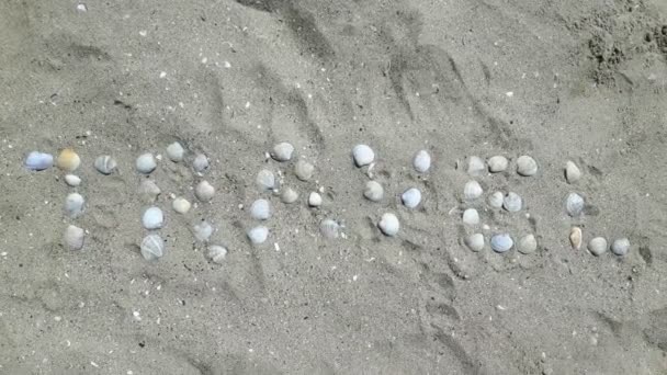 Nápis cestování psaný mušlemi na písečné pláži. Nápis putuje do písku. — Stock video