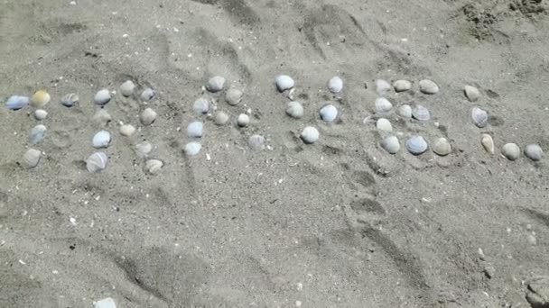 Nápis cestování psaný mušlemi na písečné pláži. Nápis putuje do písku. — Stock video