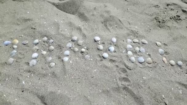 L'inscription voyage écrite par des coquillages sur une plage de sable fin. L'inscription voyage dans le sable. — Video