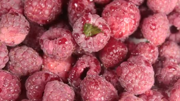 Reife saftige Himbeeren liegen auf einem Teller. Reife Bio-Himbeeren aus nächster Nähe. — Stockvideo