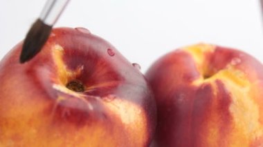 Ressam şeftali fırçasıyla resim yapıyor. Sanatçılar yakın plan fırçalar. Beyaz bir tabakta taze şeftali.