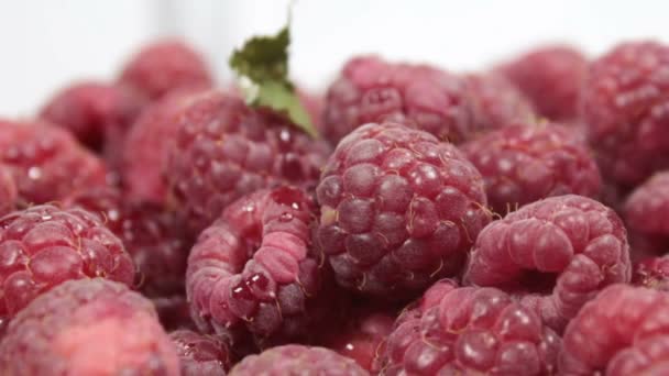 De belles mains féminines prennent des framboises juteuses mûres dans une assiette. Gros plan des mains prenant des framboises mûres dans une assiette. — Video